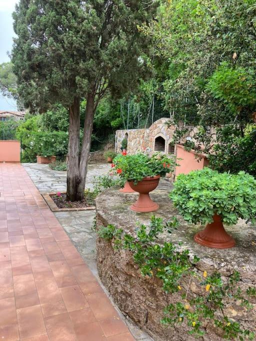 Apartment Zuccale 3 *